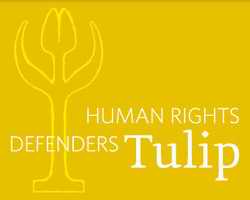Human Rights Defenders Tulip